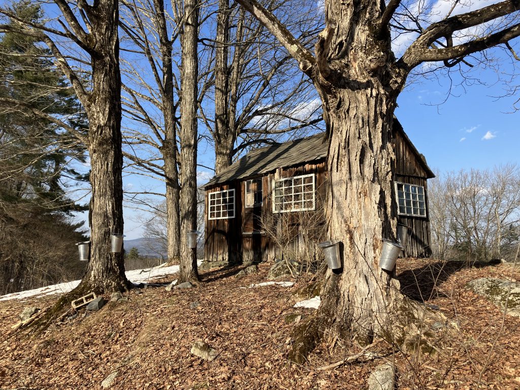 Esdoorns tappen in Stonehurst Showroom – Vermont Woods Studios