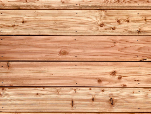 5 of the Most Common Types of Cedar Trees