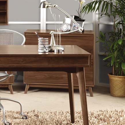A home office with a desk, chair and a plant.