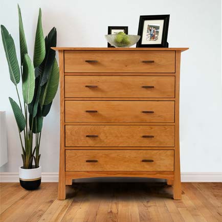 A wooden chest of drawers in a room with a plant.
