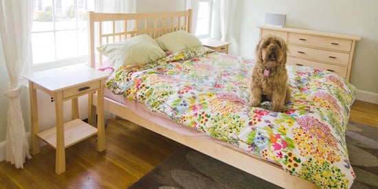 A dog sitting on a bed in a bedroom.