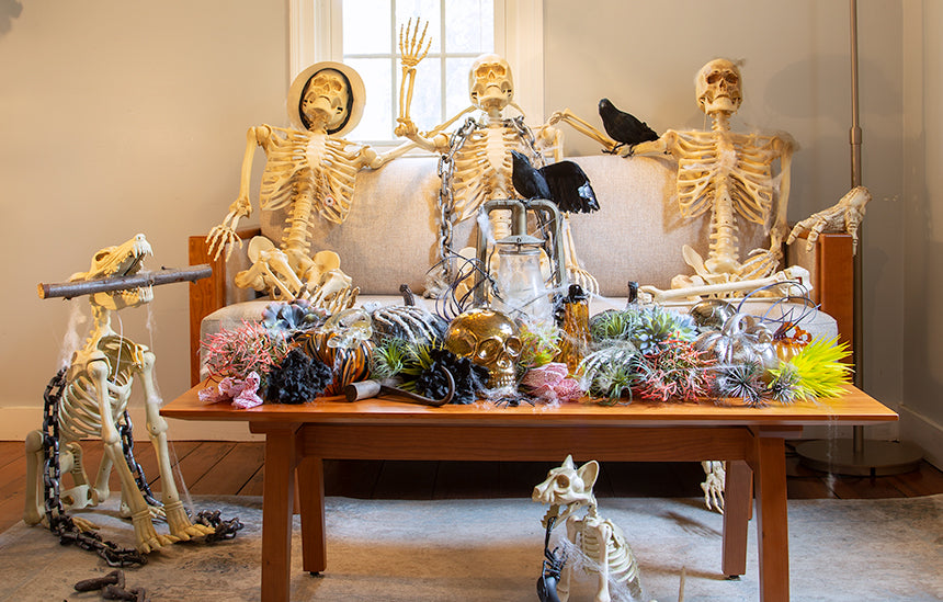 15% off Spooky Season Sale