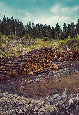 A pile of logs.