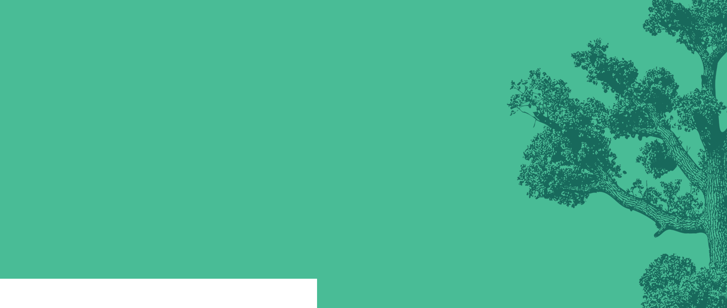 An image of a tree on a green background.