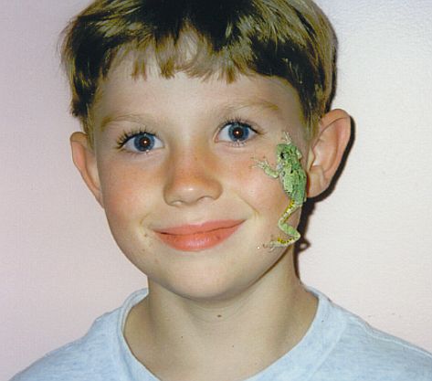 A young boy with a lizard on his face.