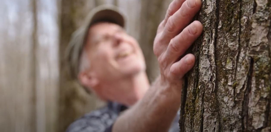 10 Quotes About Deforestation That Will Inspire You To Create Change