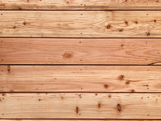 5 of the Most Common Types of Cedar Trees