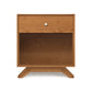 A Copeland Furniture Astrid 1-Drawer Enclosed Shelf Nightstand, crafted from sustainable hardwood, against a plain background.
