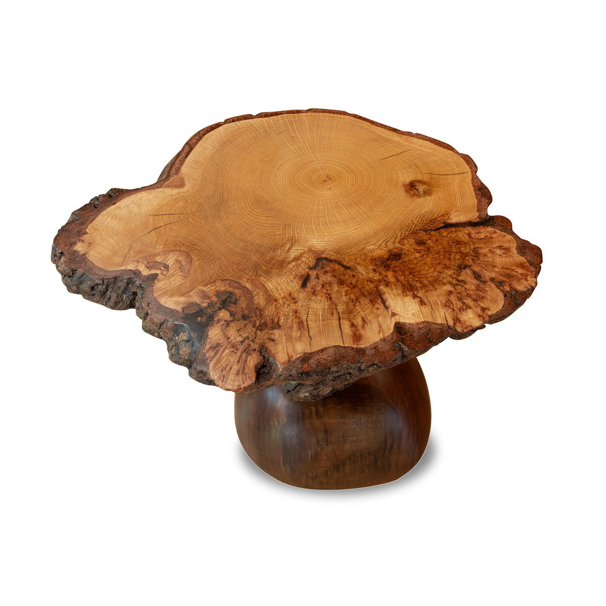 Brutto ma Buono: Bonbon Side Table by David Holzapfel features an oak burl top and rounded wood base, handcrafted in Vermont for rustic elegance.