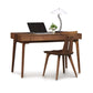 A Copeland Furniture Catalina Desk with a laptop, lamp, and plant on top, accompanied by a matching wooden chair.