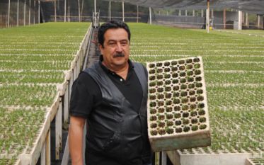 A man holding a tray of plants in a greenhouse.