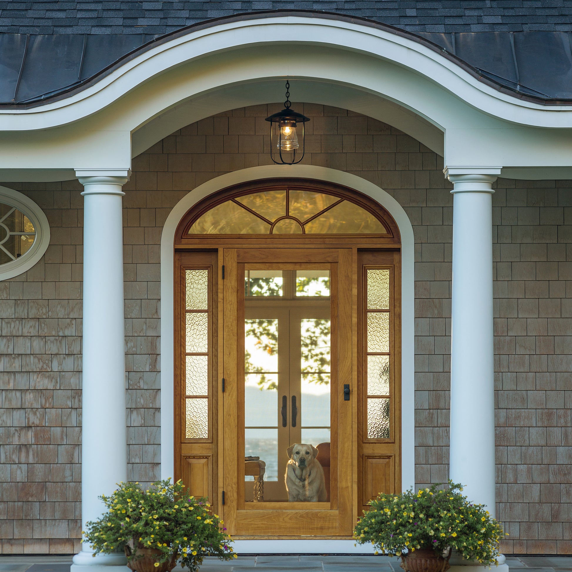 Stunning wooden front door crafted from solid American wood, showcased on a porch with a yellow dog sitting nearby.