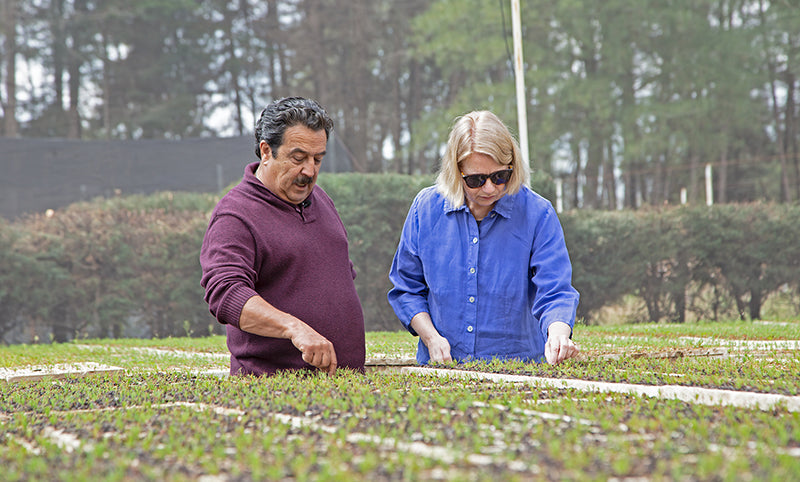 High-quality American-made furniture crafted from sustainable wood in an outdoor setting.