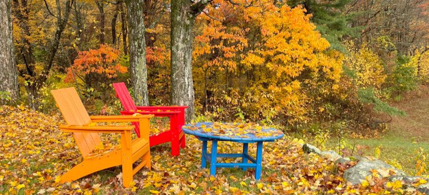 Showroom Outdoor Furniture