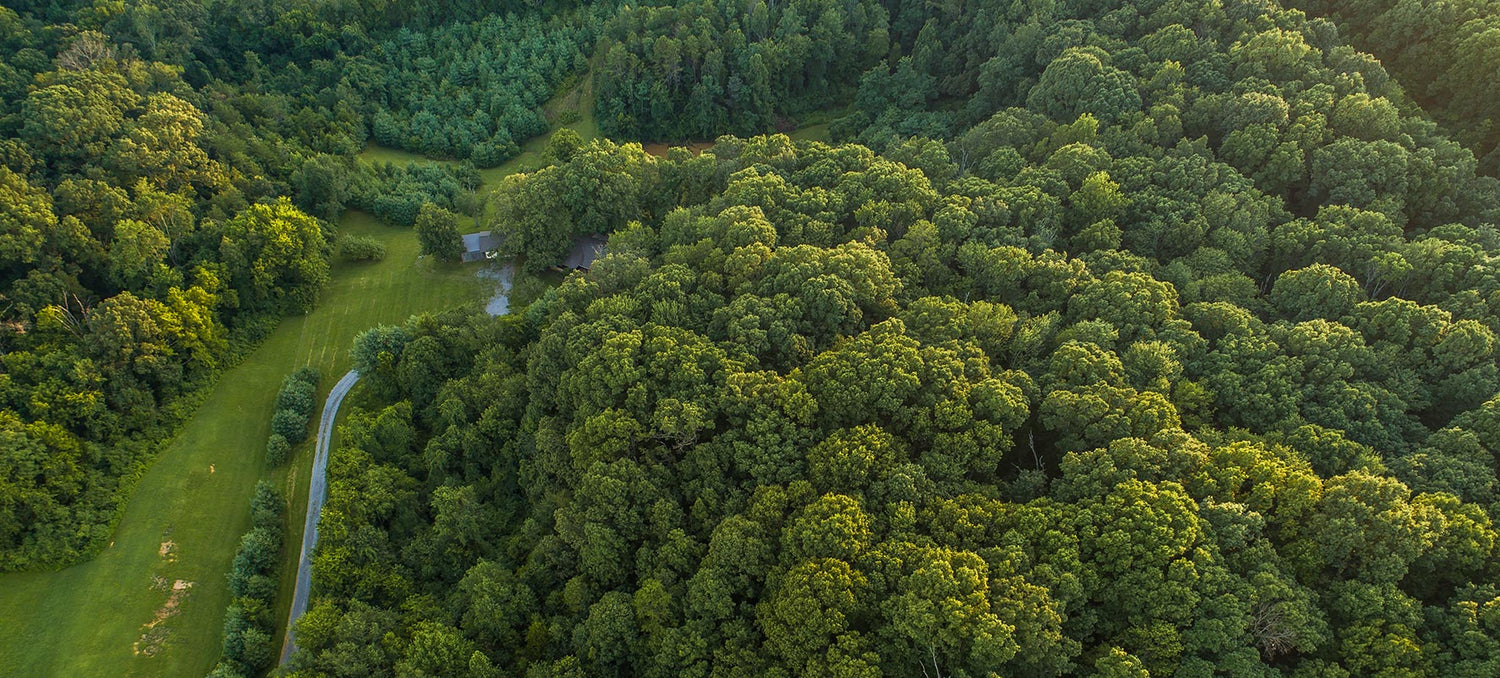 An aerial view of a forest and a golf course.