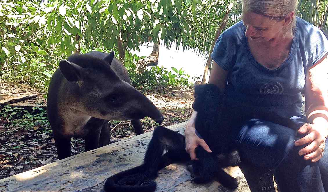 A woman petting a black tapir.