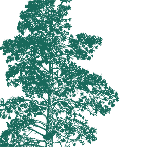 Background illustration of tree