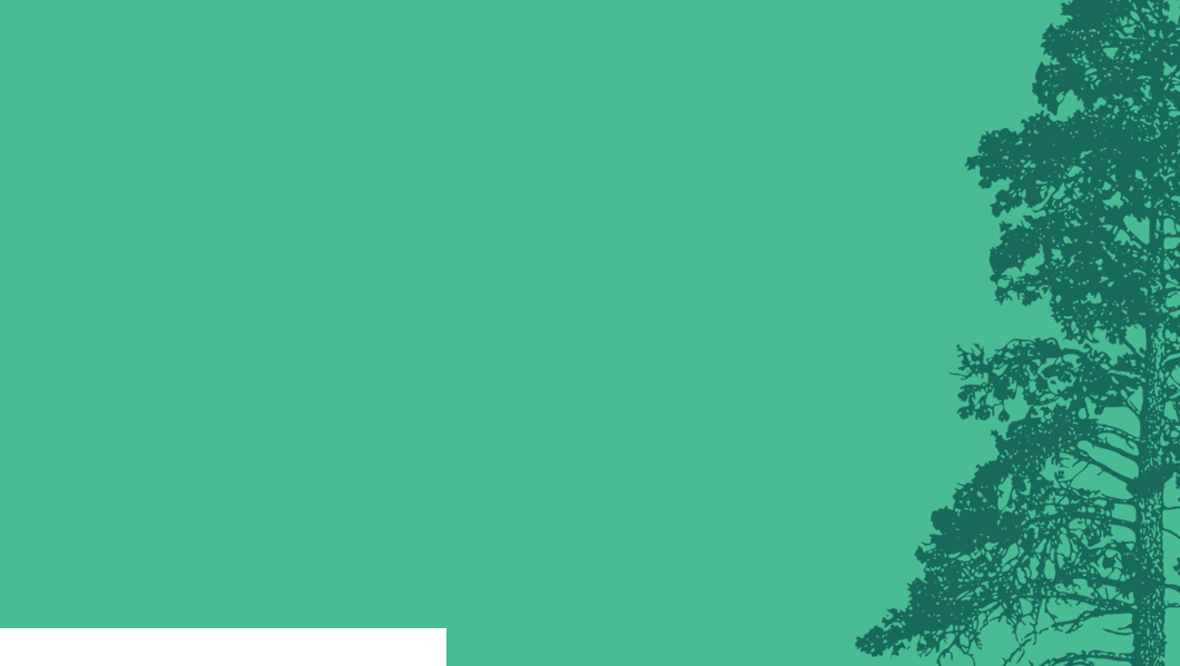 An image of a tree in front of a green background.